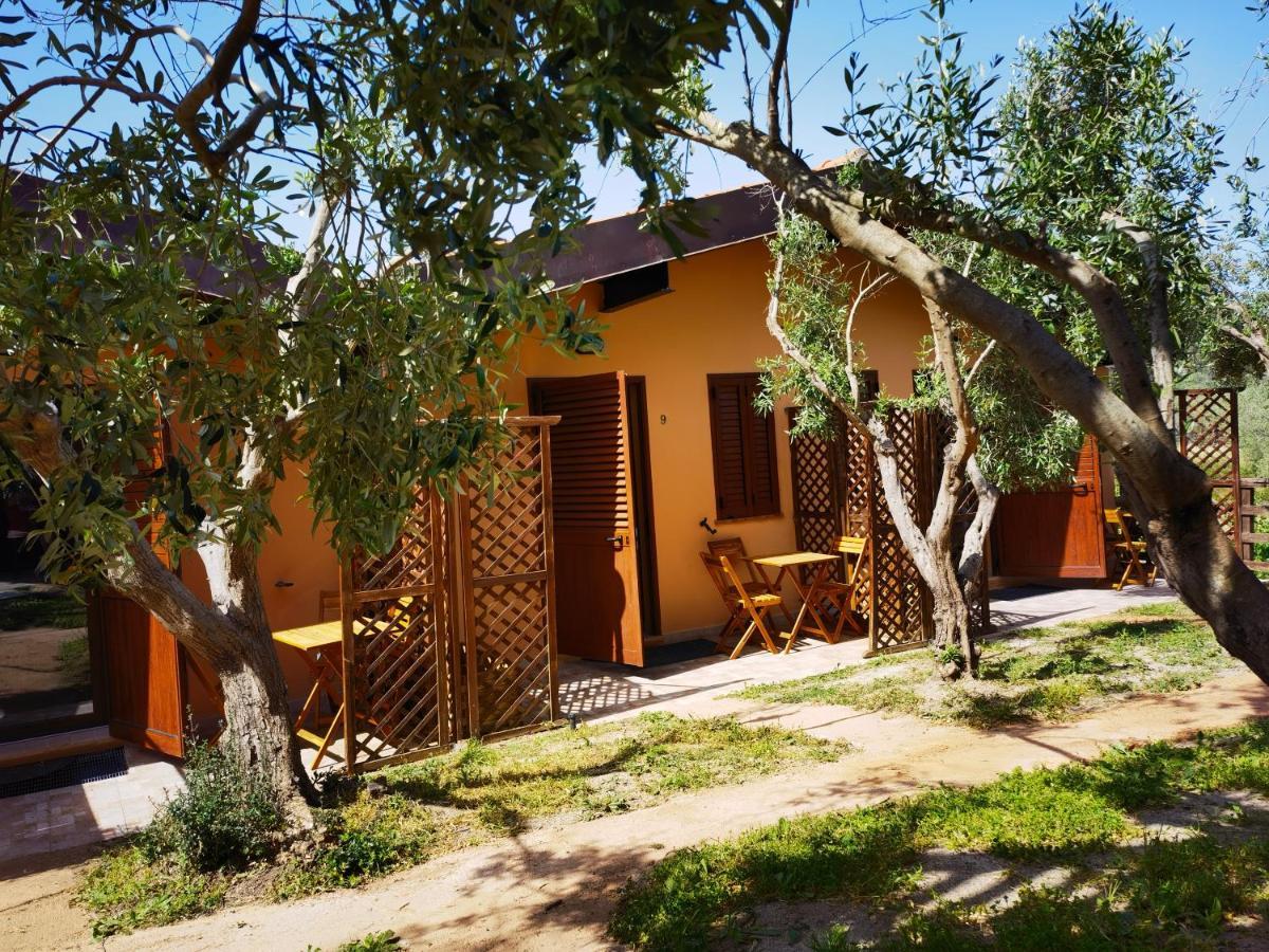 La Corte Degli Ulivi - Rurale